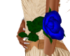 Blue Rose single