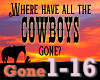 Cowboys Gone & dance