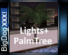 [BD]Lights+PalmTree