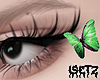 Butterfly Coachella ll