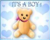 (BL) its a boy bear