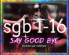 Say Good Bye+Delag