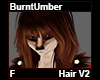 BurntUmber Hair F V2