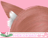 Cat Ear Rose