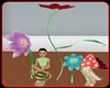 ¡a mushrooms & flowers