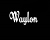 Waylon Necklace/M