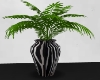 Blk/wht vase with palm