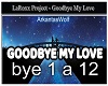Goodbye My Love