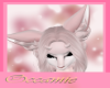 Swalla Foxy Ears