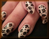 Panther nails