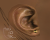 Asteri Gold Earring R