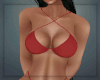 Red Summer Bikini