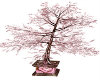 Valentine choco tree