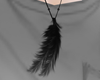 $ Black Feather
