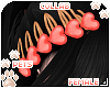 [Pets] Madde | hairclips