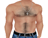 Muscle Chest Hair