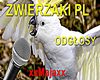 Zwierzaki PL voice