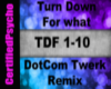 DotComTwerk-TurnDown