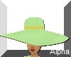 AO~ lime hat mix match