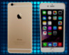 Iphone 6 Gold + Poses