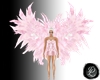 Pink Wings/Fairy/Angel