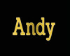 Andy Gold Neclklace