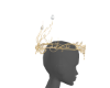 gilded pale crown