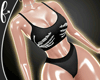 Gothic Ribform Set
