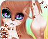 [Pets] Cinda Furry | Fem