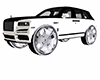 ANIMATED ADD ON RIMS