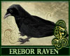 Erebor Pet Raven