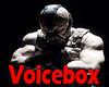 VB) Bane VoiceBox