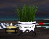 *NAUTICAL* PLANT/CANDLES