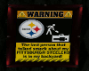 Steelers Pic #2