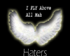 `NW I Fly Above Haterz