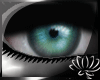[Fw] Divine Kiwi Eyes
