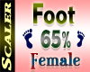 Foot Resizer 65%