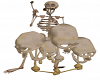 Bone Drums