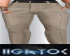 G)Beige formal pants