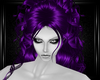 purple crista hairs