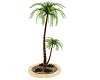 palmtree in pot