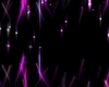 P2/PURPLE FRAME