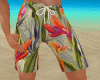 Tropical Beach shorts
