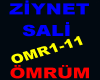 ZİYNET SALİ