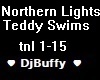 TeddySwims NorthernLight