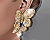 butterfly Earrings Gold
