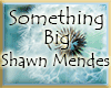Something Big | Shawn