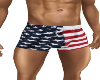 4th July Shorts