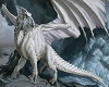 [BD] White Dragon