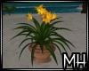 [MH] SE Island Flower